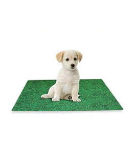 Dry Mate Washable Potty Pads GREEN FRESH GRASS 24 X 29 Inches (PACK OF 3)