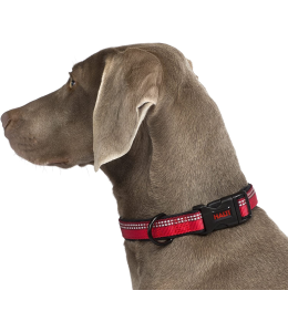 COA HC034 HALTI Collar Red Large