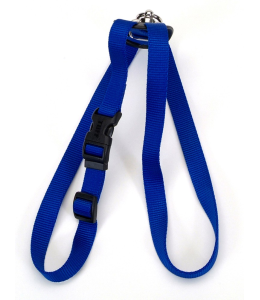 Coastal 1 and Size Right Harness Large Blue