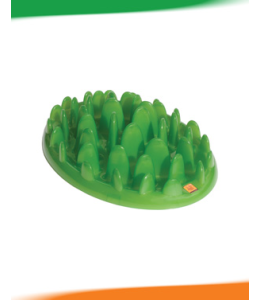 COA Green Slow Feeder