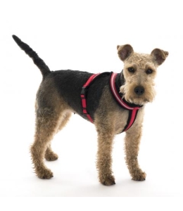 COA LFR6 Comfy Harness Red Large Size