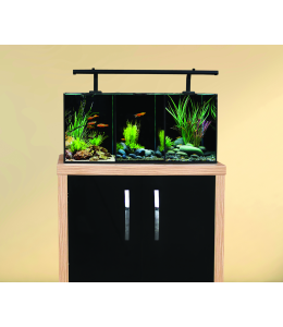 Aqua One Betta Trio Aquarium 32L 55x25x25cm AQUARIUM + INSPIRE 60 CABINET