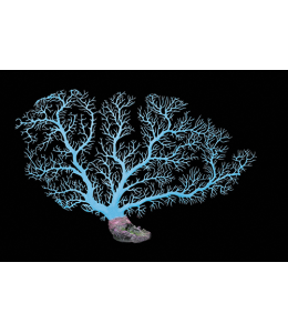 Aqua One Coral Fan Blue 60x41cm (L)