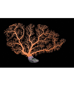 Aqua One Coral Fan Orange 60x41cm (L)