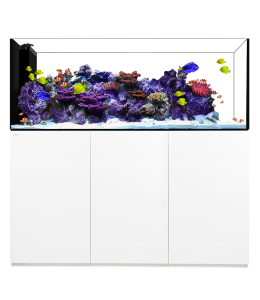 Waterbox Crystal PENINSULA 7226/7225+ Cabinet- L 180CM X W 65CM X W 60CM-WHITE 