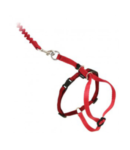 PetSafe Easy Walk Cat Harness  Lead - Large Red