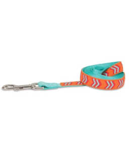 PETMATE RUBBER DOG LEASH 3/4"X6' ORANGE CHEVRON