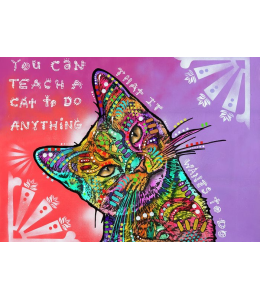 Drymate Mats for Cats Teach A Cat 12 X 20 Inch/30 Cms X 50 Cms-PACK OF 3