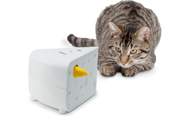 PetSafe Cheese Interactive Cat Toy