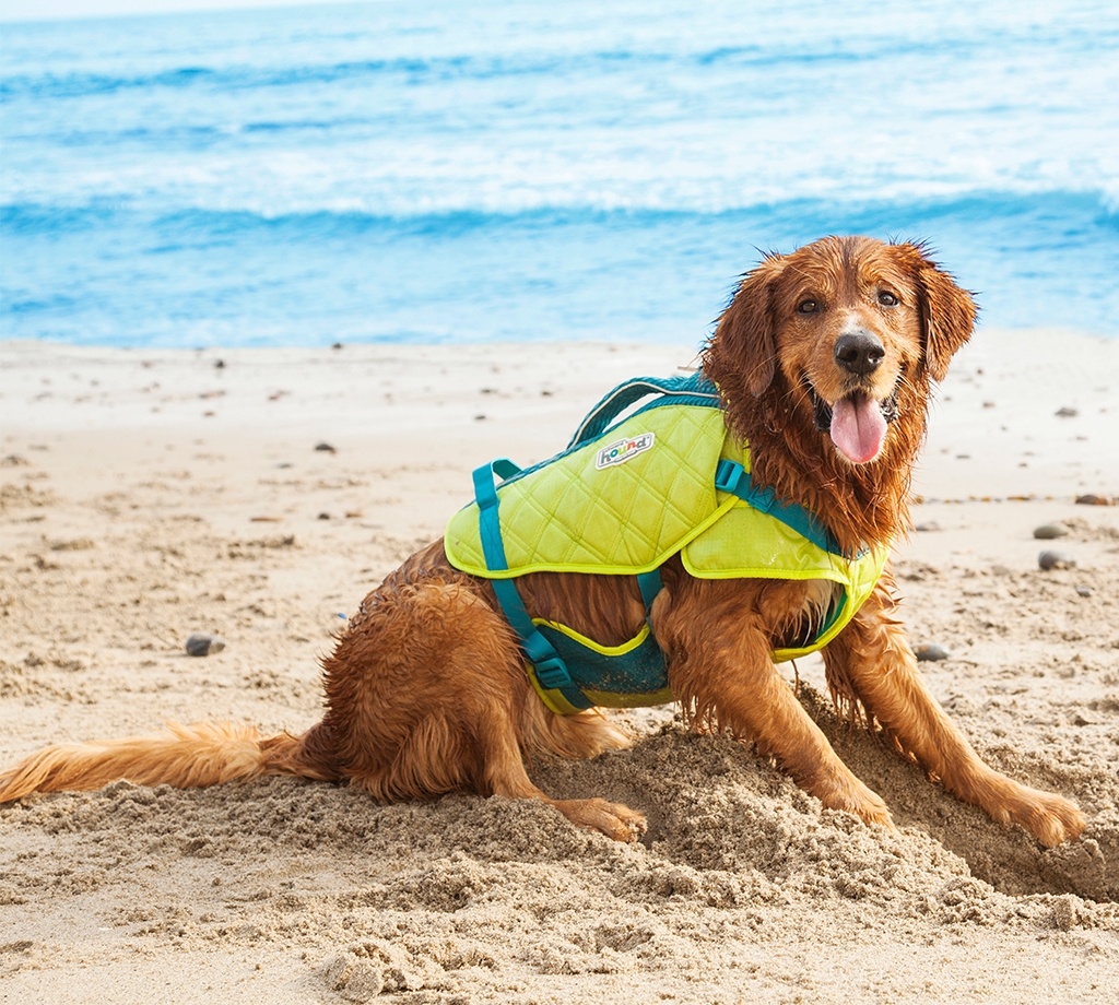 Outward Hound Standley Sport Life Jacket  Green Medium