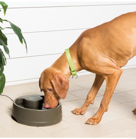 Drinkwell® Current Pet Fountain- Medium-UK Adaptor