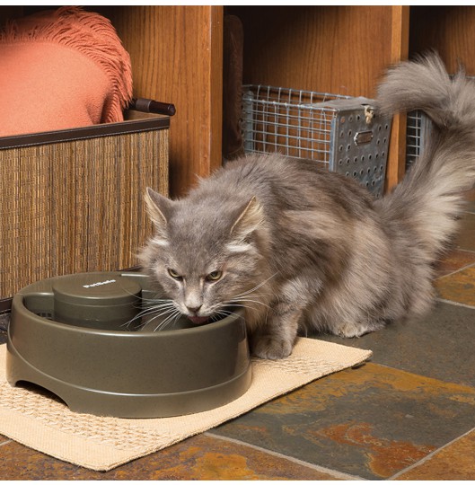 Drinkwell® Current Pet Fountain- Medium-UK Adaptor