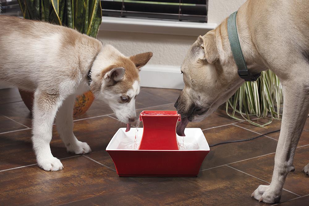 Drinkwell Pagoda Pet Fountain Red -BOX of 4 Save 10%