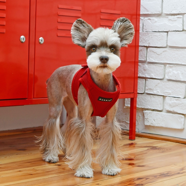 PUPPIA SOFT VEST HARNESS B RED S Chest 11.8-12.6"