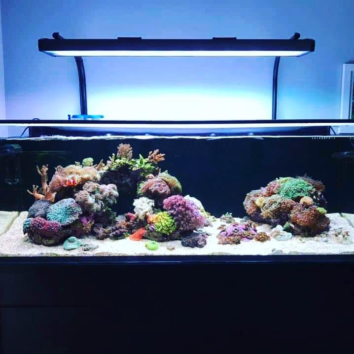 ILLUMAGIC X SERIES-90 CM MARINE