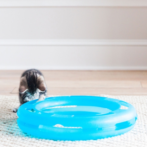 PETMATE FAT CAT CRAZY CIRCLE SMALL  - (PACK OF 3)