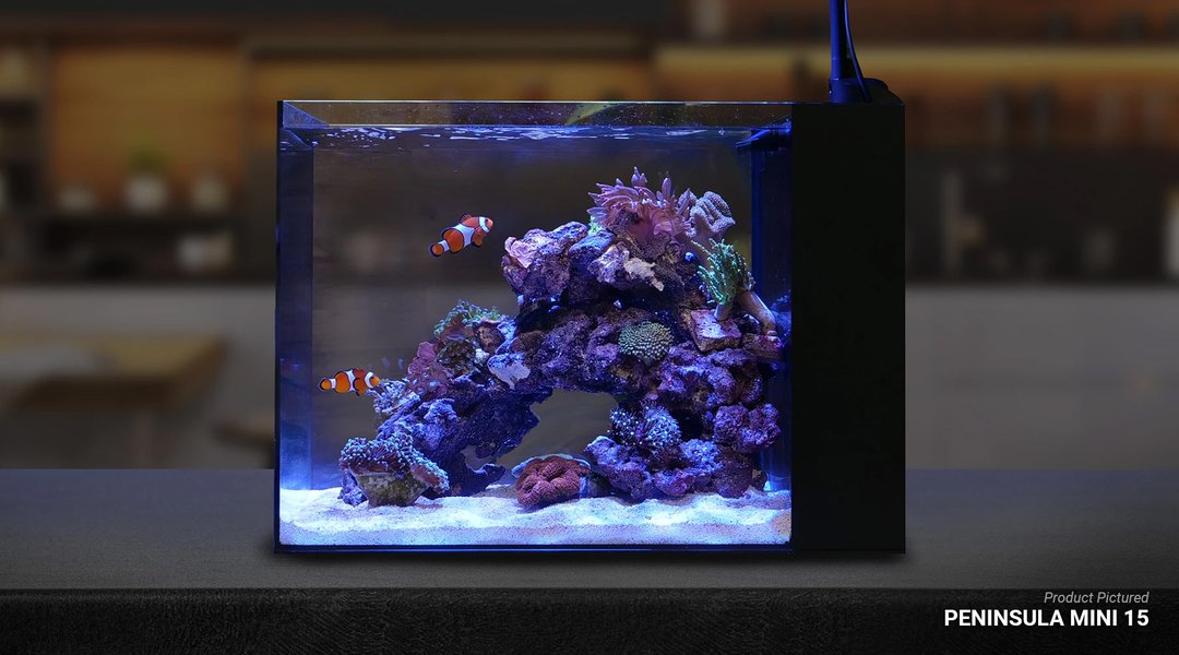 Waterbox Peninsula MINI 15 ( Glass Only) L 50 Cm W  35 Cm H 35 Cm