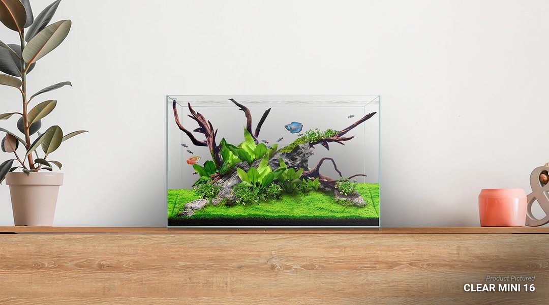 Waterbox Clear MINI 20 L 45 Cm W  45 Cm H 40 Cm