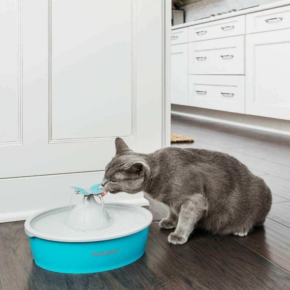 Petsafe Drinkwell Butterfly Pet Drinking Fountain(1BOX-4)