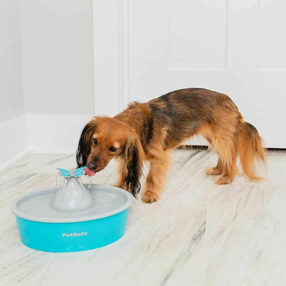 Petsafe Drinkwell Butterfly Pet Drinking Fountain(1BOX-4)