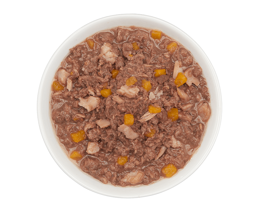 Tiki Cat Aloha Friends Wet Cat Food Tuna, Tilapia & Pumpkin -3 oz. can - (1box - 12pcs)