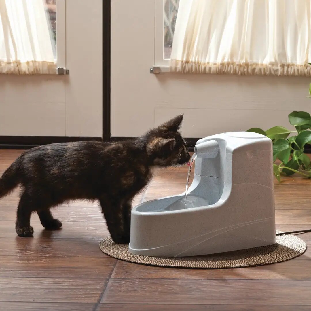 Drinkwell® Mini Pet Fountain