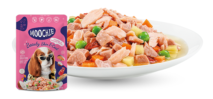 Moochie Dog Food Casserole with Salmon - Beauty Skin & Coat Pouch (12) x 85g 
