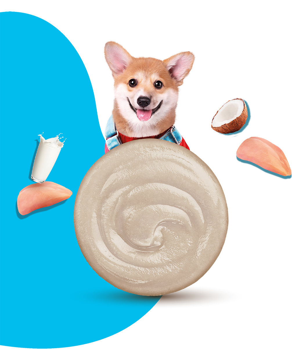 Moochie Dog Mousse - Chicken with Goat Milk Pouch (12) x 70g