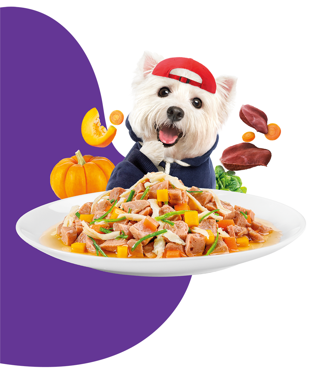 Moochie Dog Food Casserole with Chicken Liver - Digestive Care Pouch (12) x 85g 