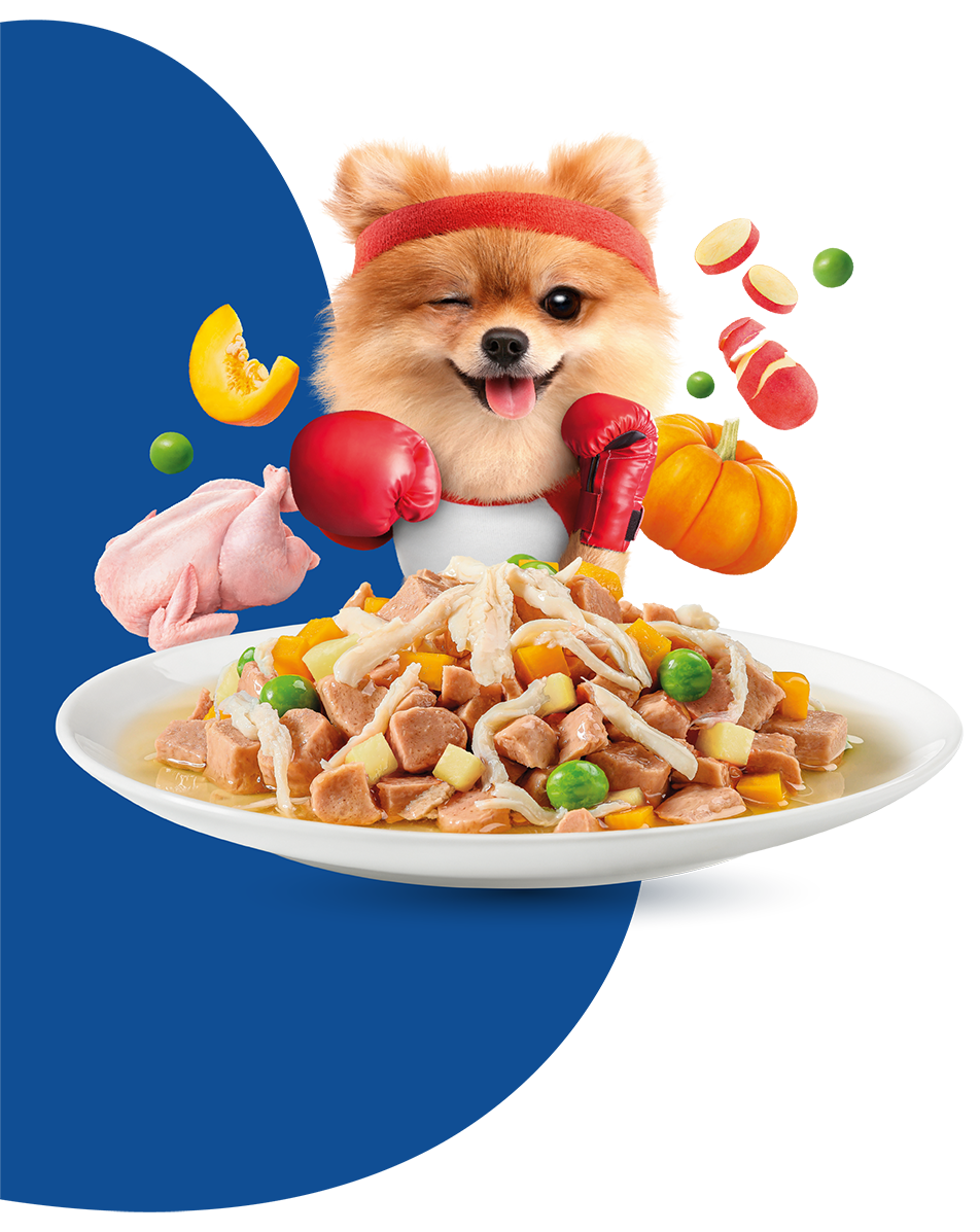 Moochie Dog Food Casserole with Turkey - Weight Control Pouch (12) x 85g 