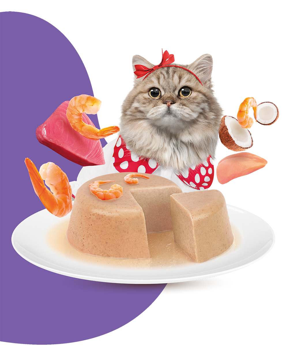 Moochie Cat Food  Pate with Prawn - Hairball Care Pouch (12)70g