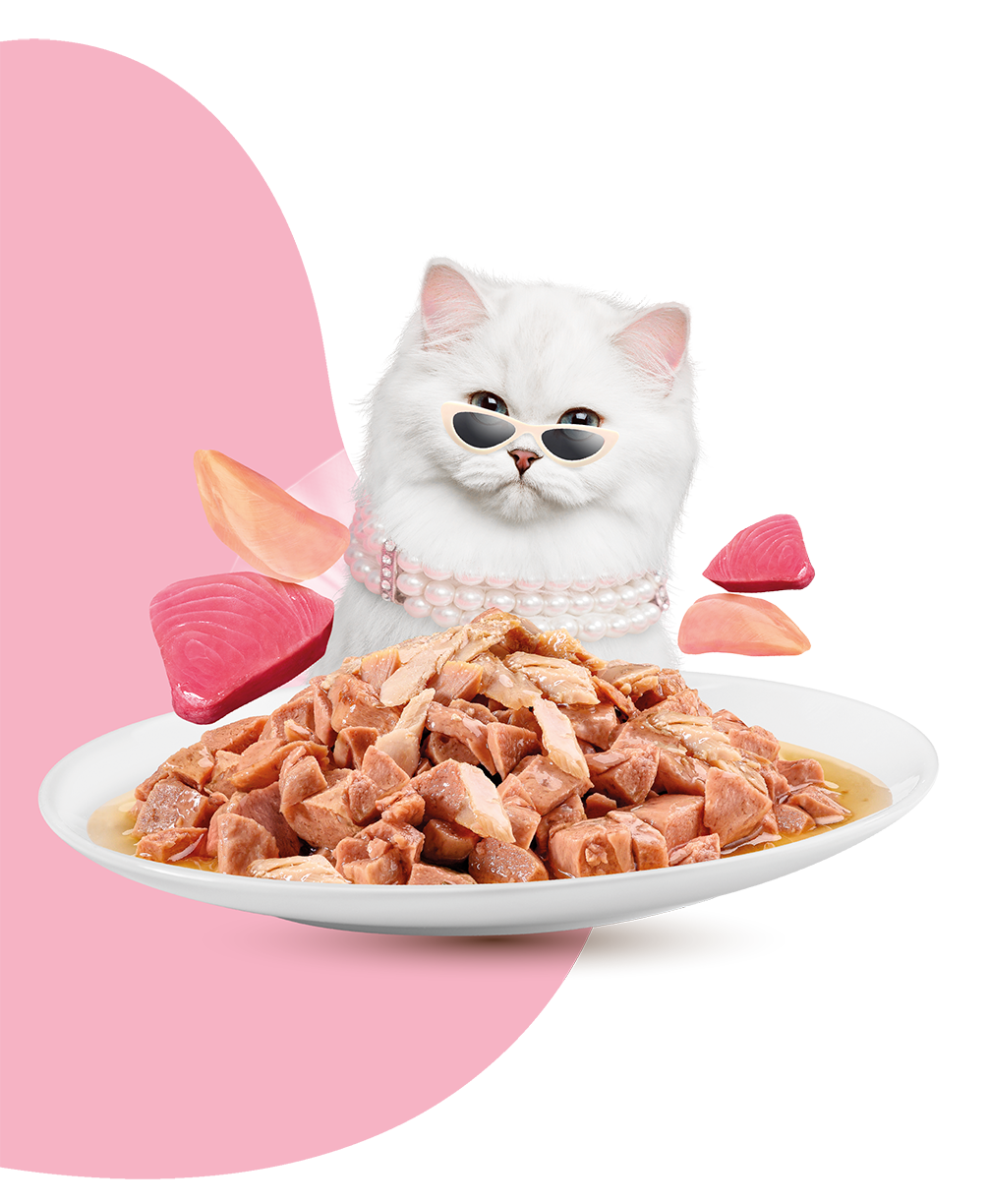 Moochie Cat Food Mince with Tuna - Beauty Skin & Coat Pouch (12) x 70g 