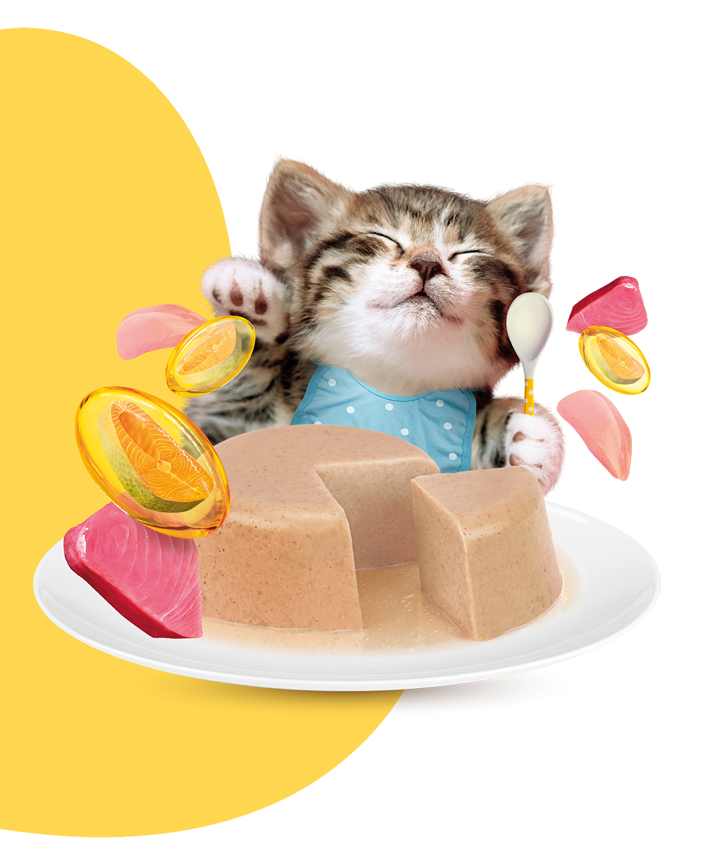 Moochie Cat Food  Tuna and Chicken recipe for Kitten - Healthy Growth Pouch (12) x 70g