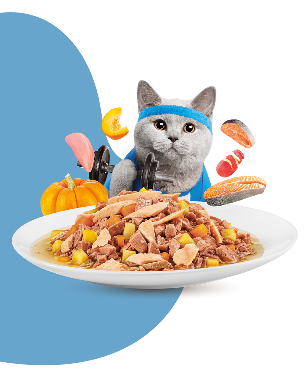 Moochie Cat Food  Mince with Salmon - Weight Control Pouch (12) x 70g